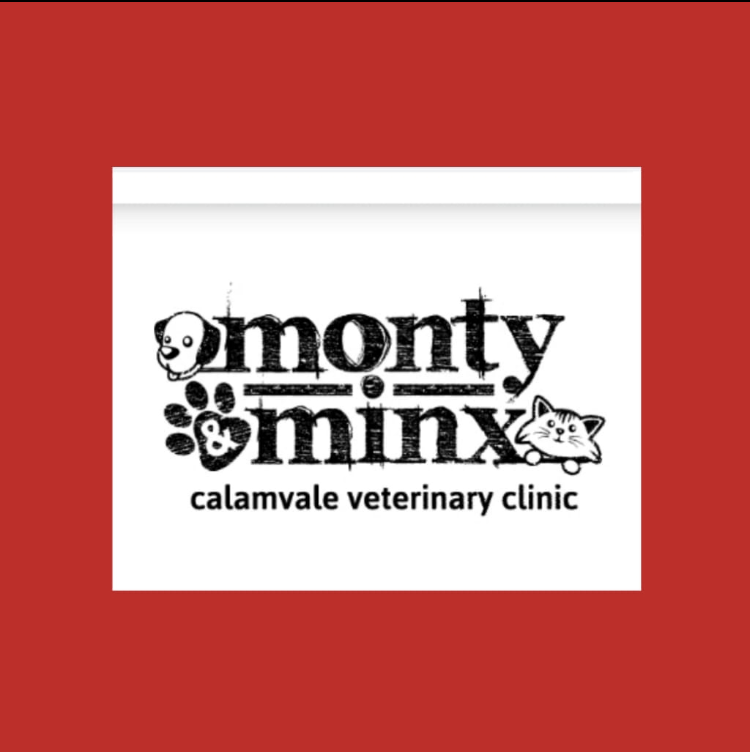 Logo-Monty & Minx